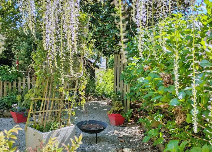 Anemerial Et Capucine * Saint-Hilaire-du-Maine